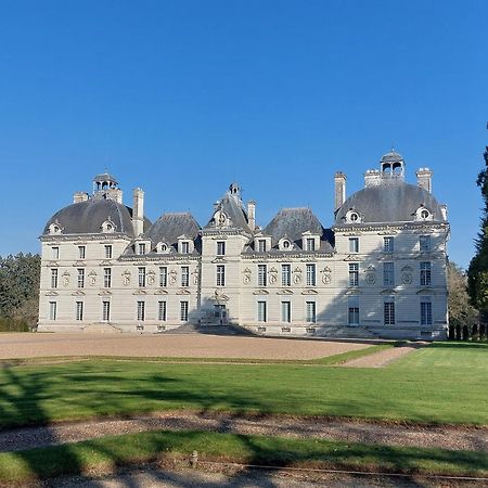 Le Controis-en-Sologne Trainefeuilles - Chambres D'Hotes Proche Zoo De Beauval מראה חיצוני תמונה